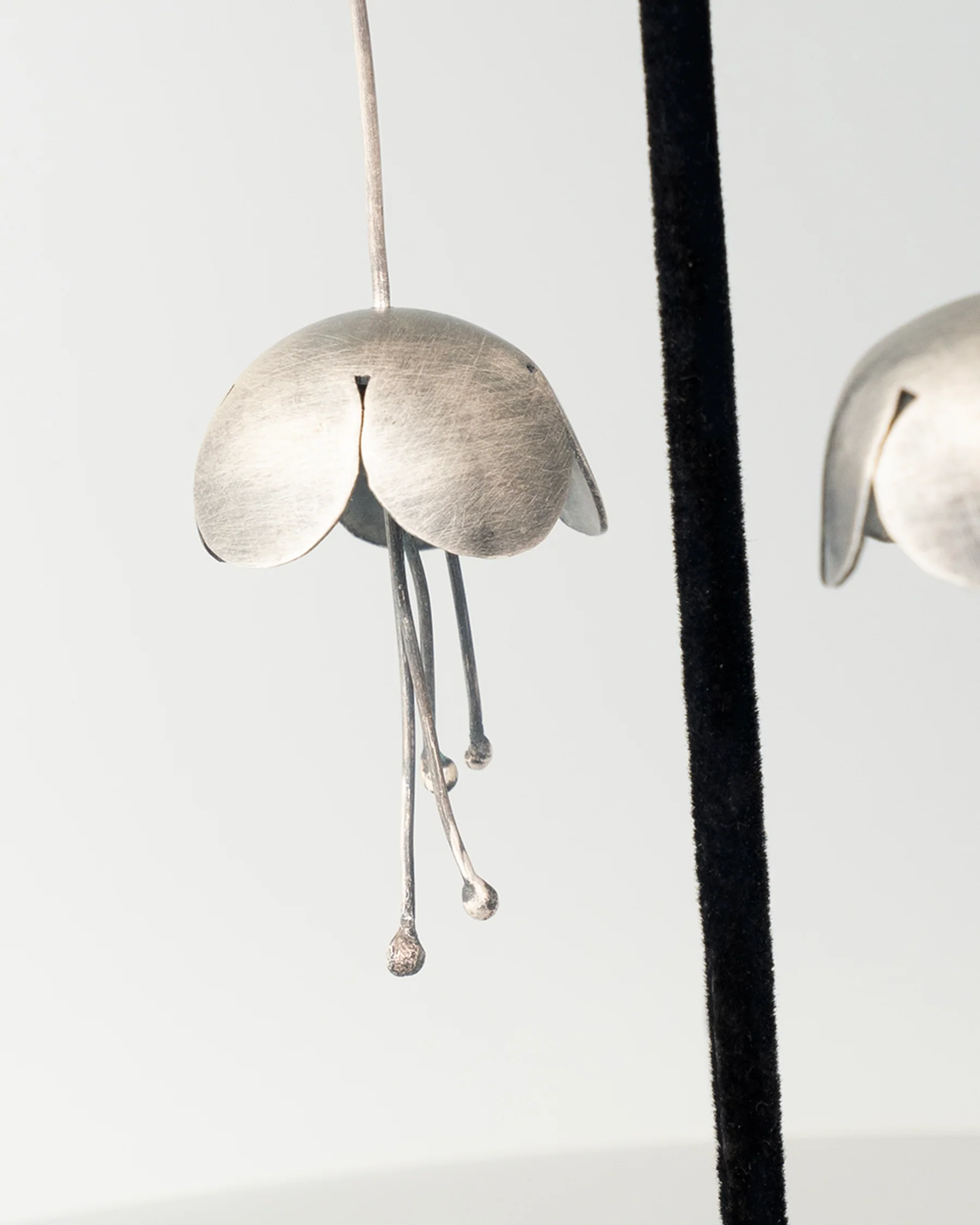ear A2517 - Image 3