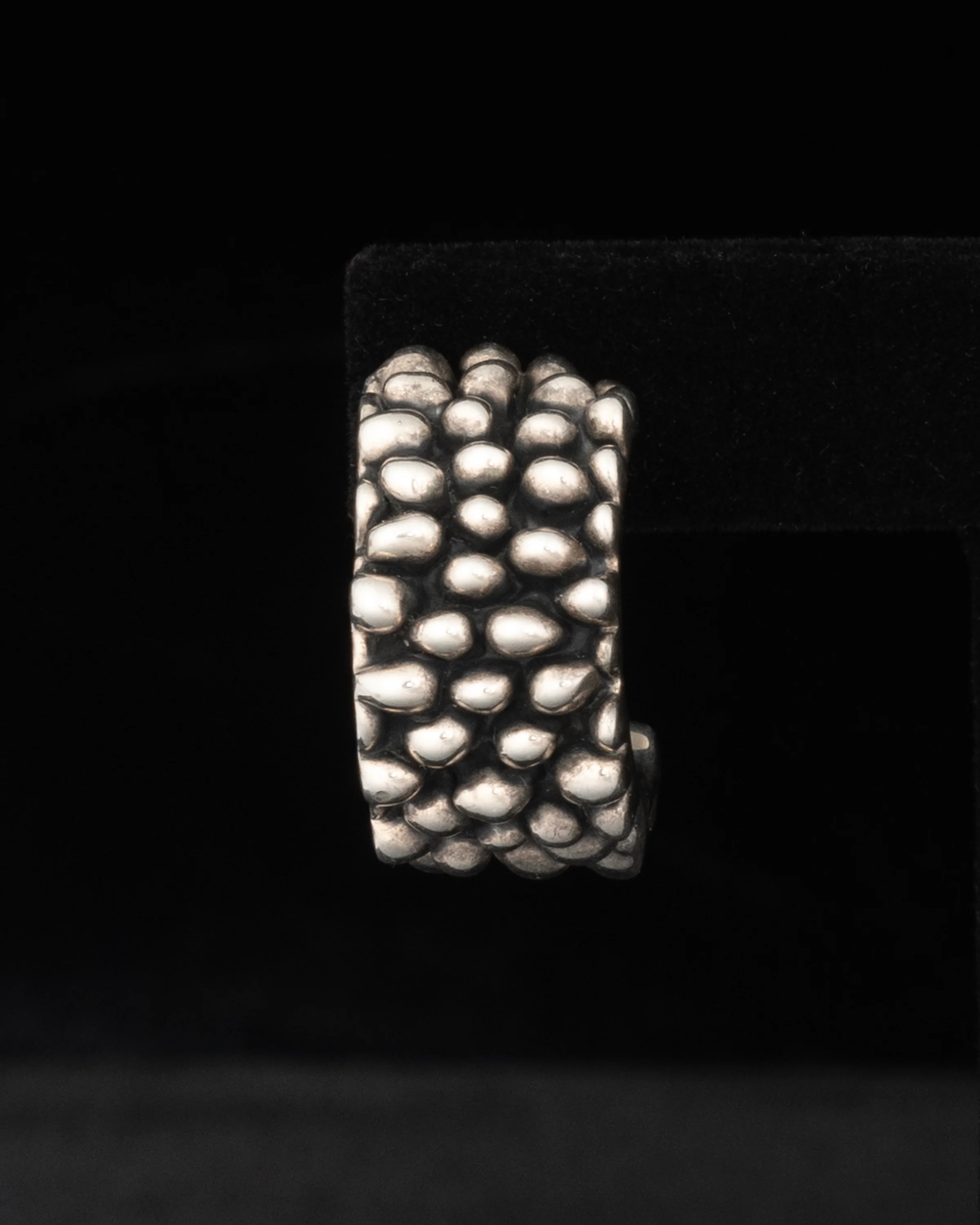 ear F2510 - Image 2