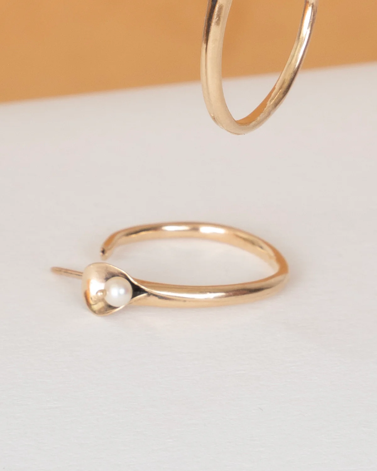 ear J2475 - Image 3