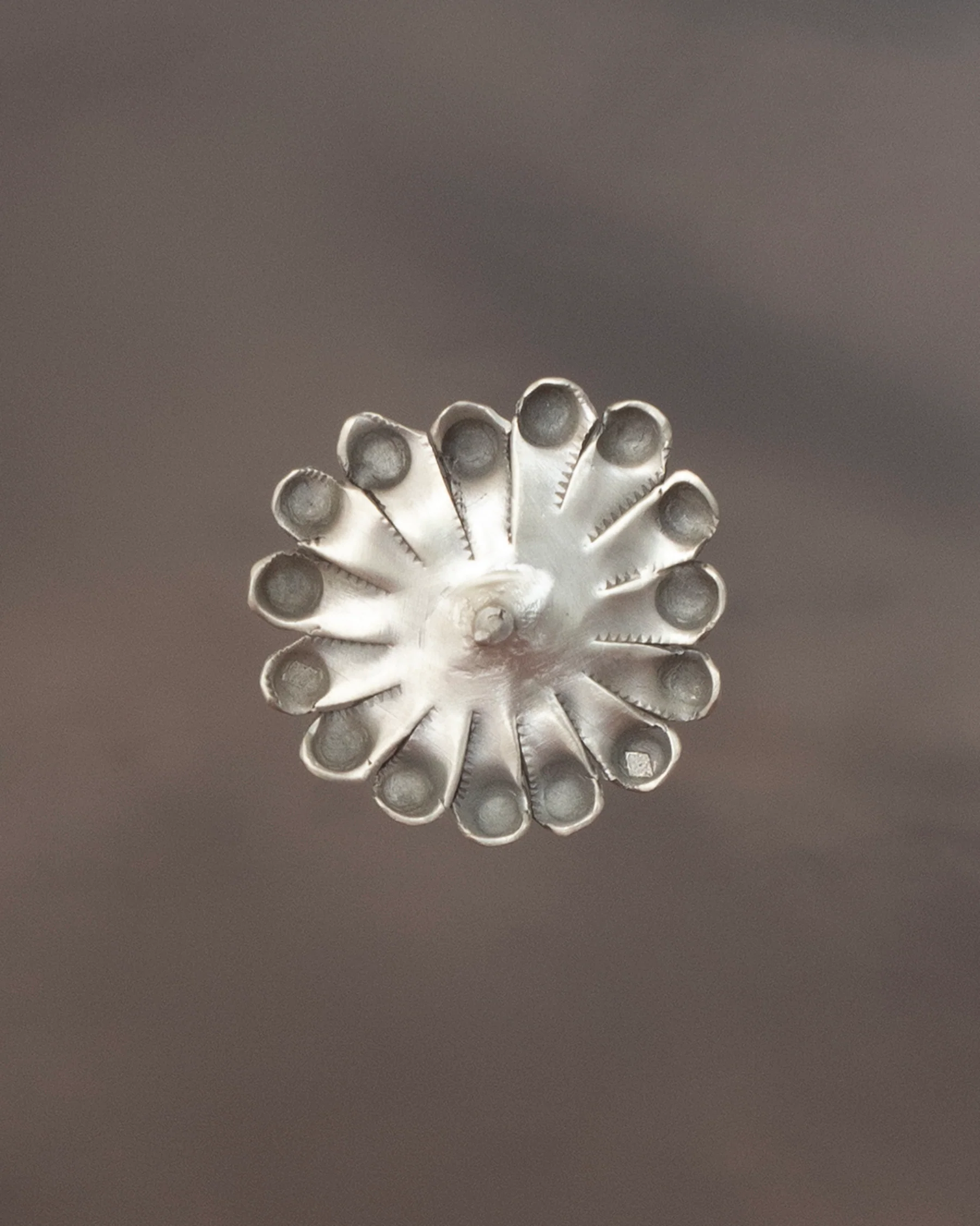 ear ZM39 - Image 6