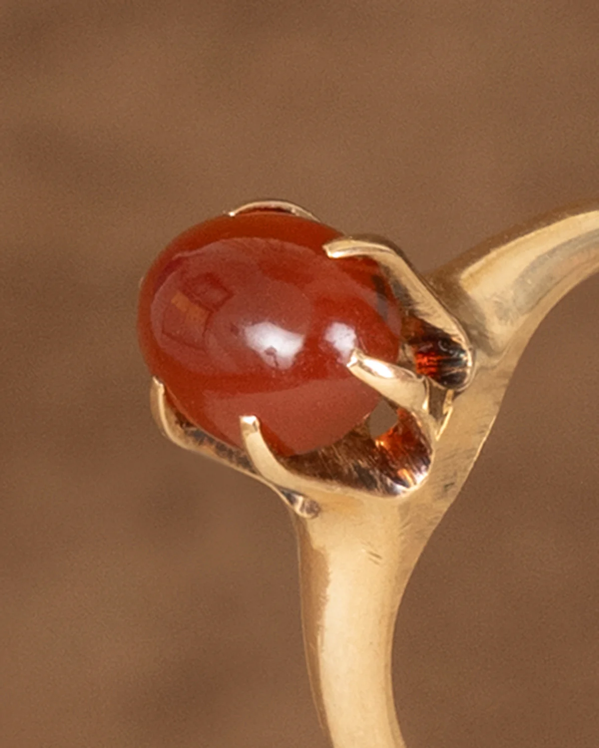 fing D2429 - Image 6