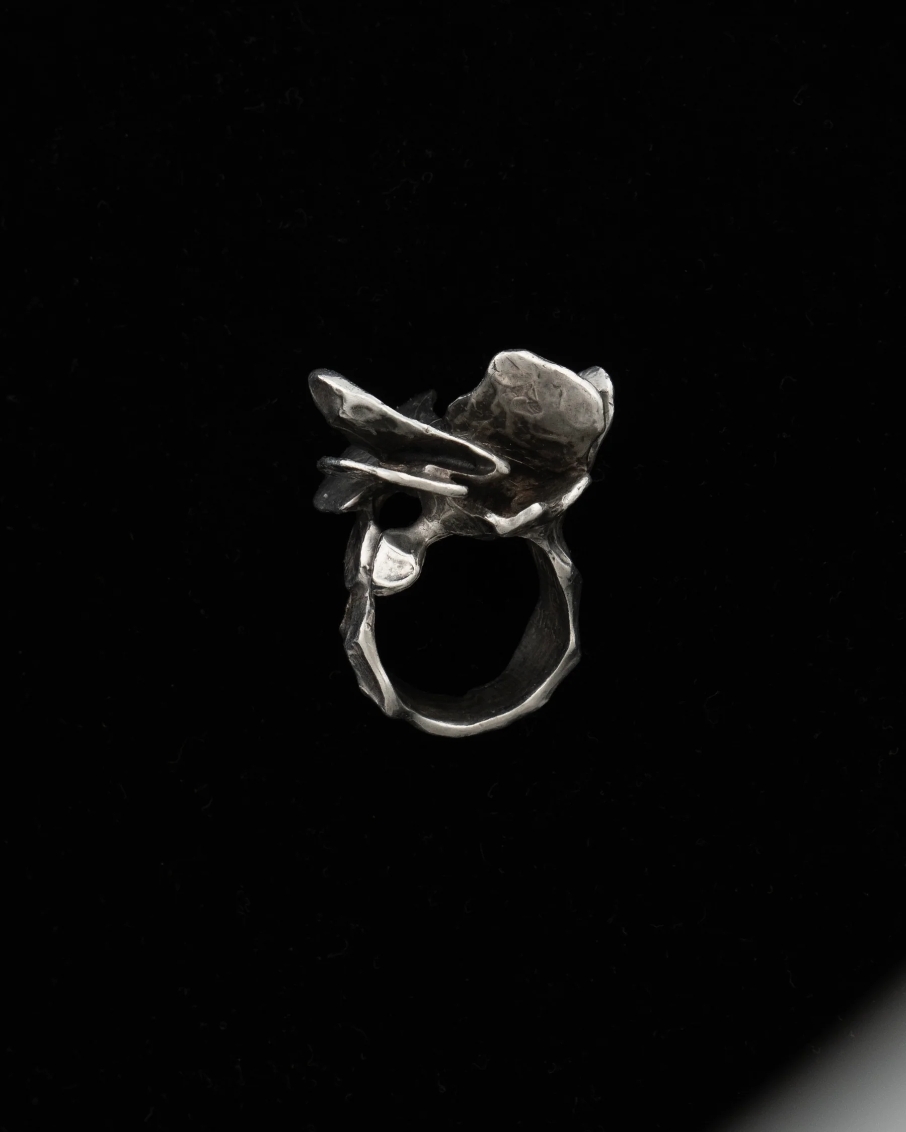 fing F2631 - Image 3