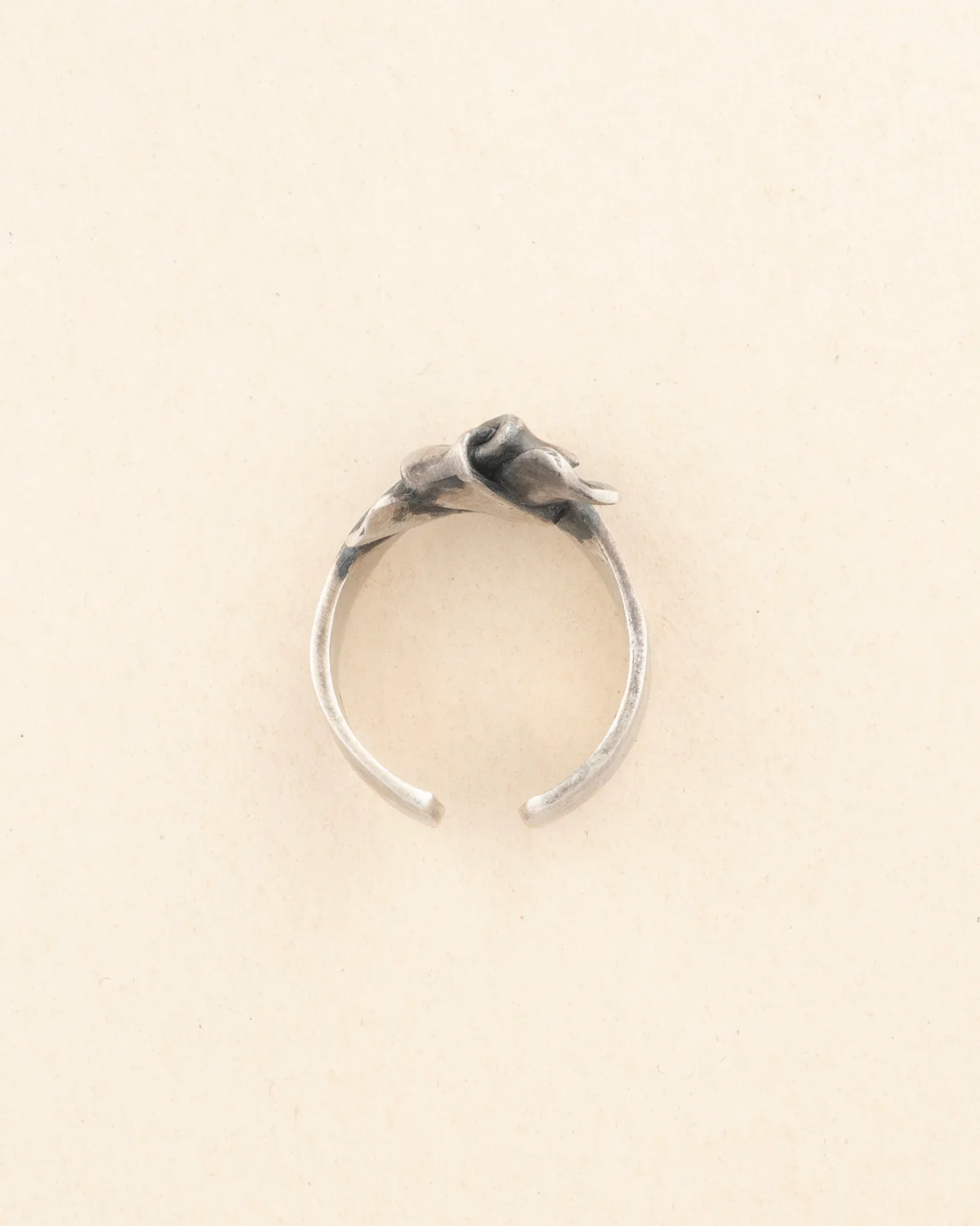 fing J2526 - Image 4