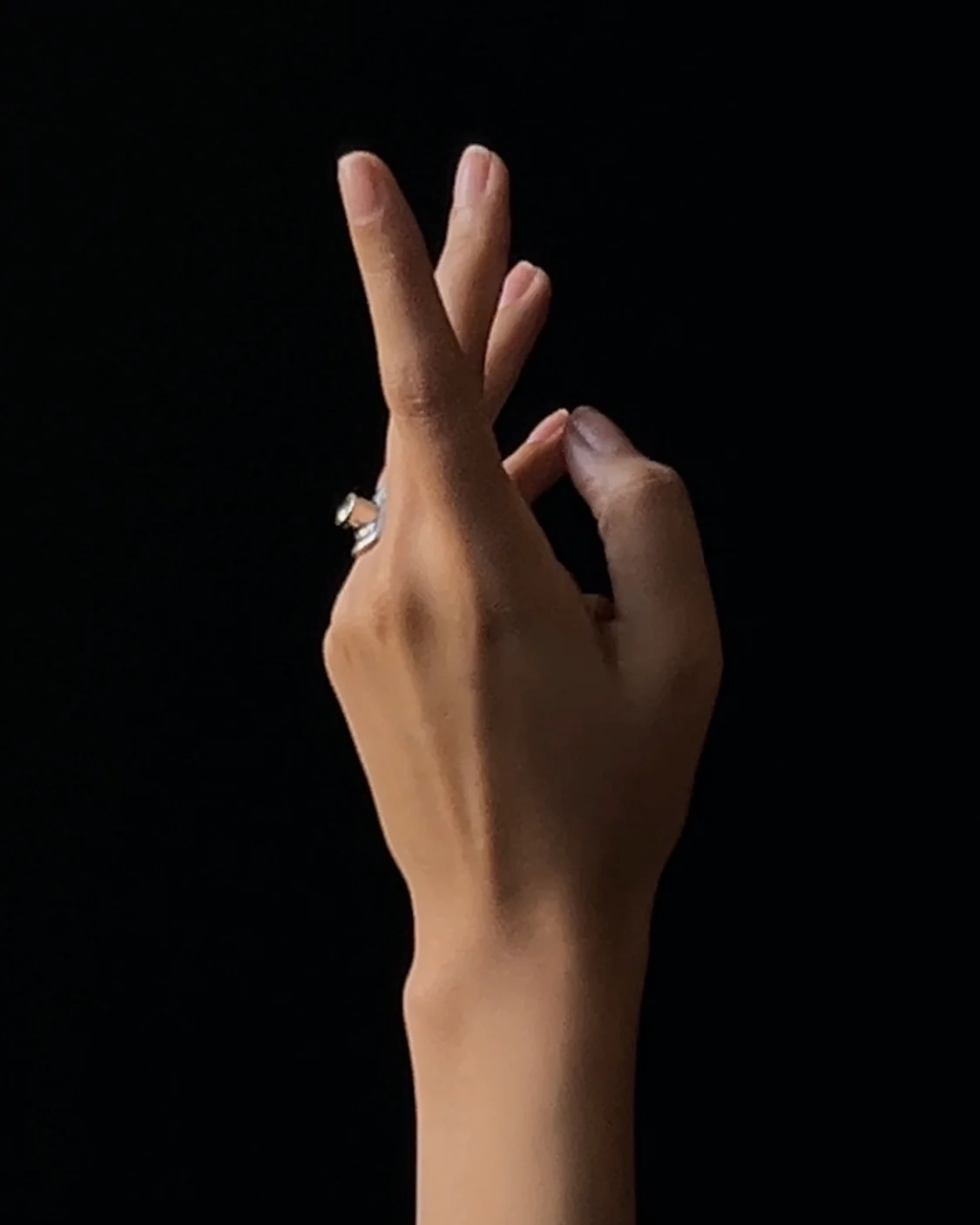 fing N2501 - Image 4