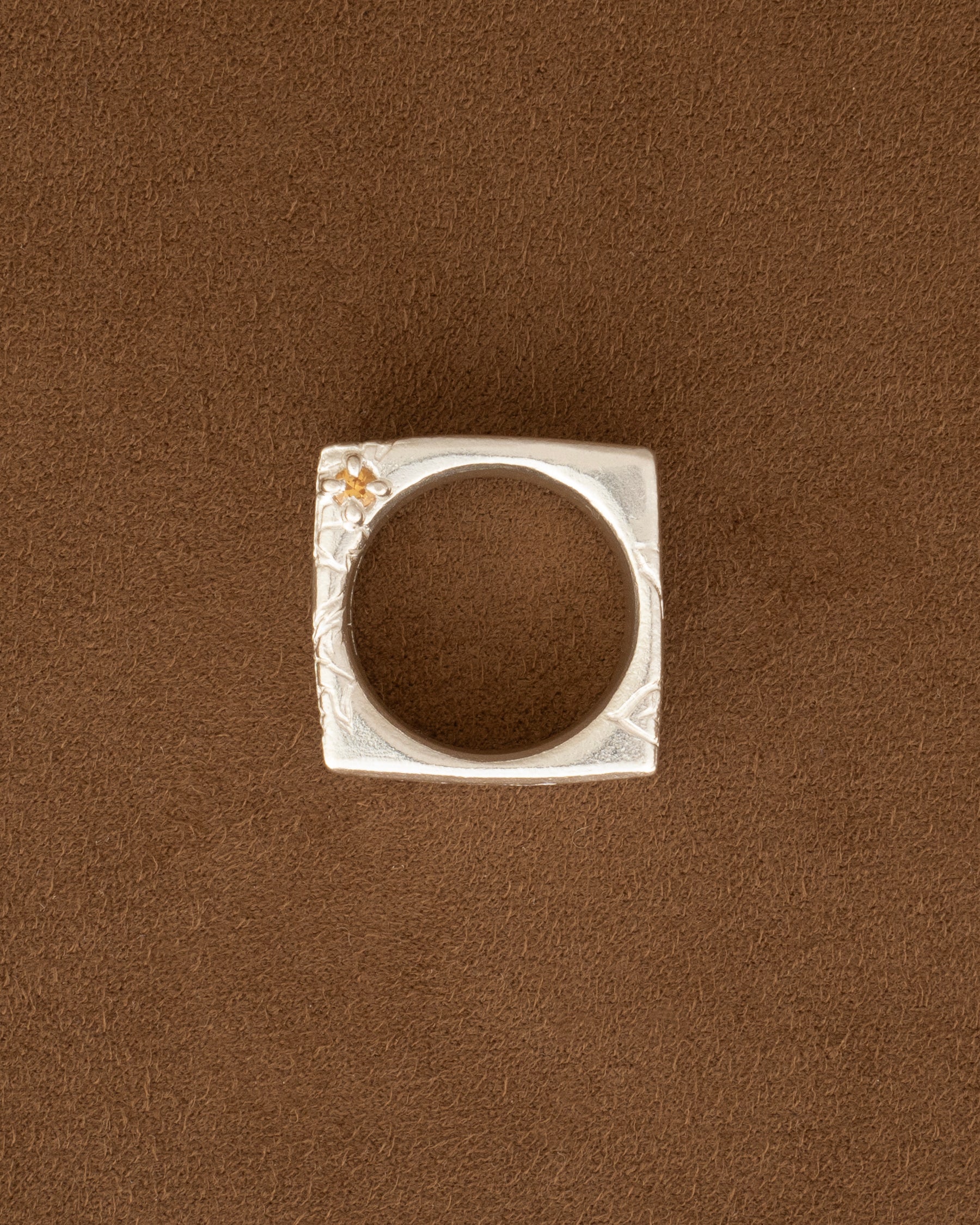 fing WH03 - Image 4