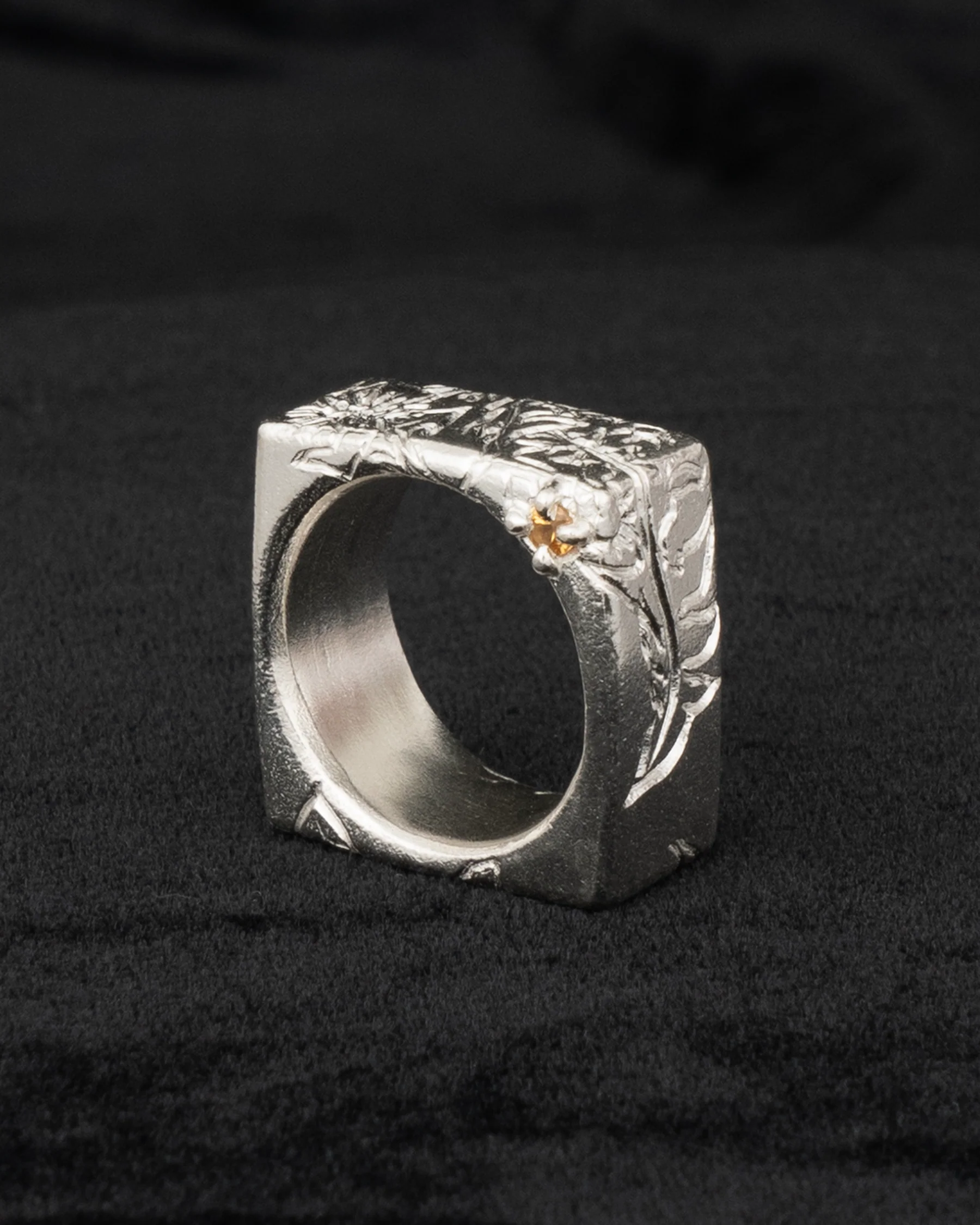 fing WH03 - Image 5