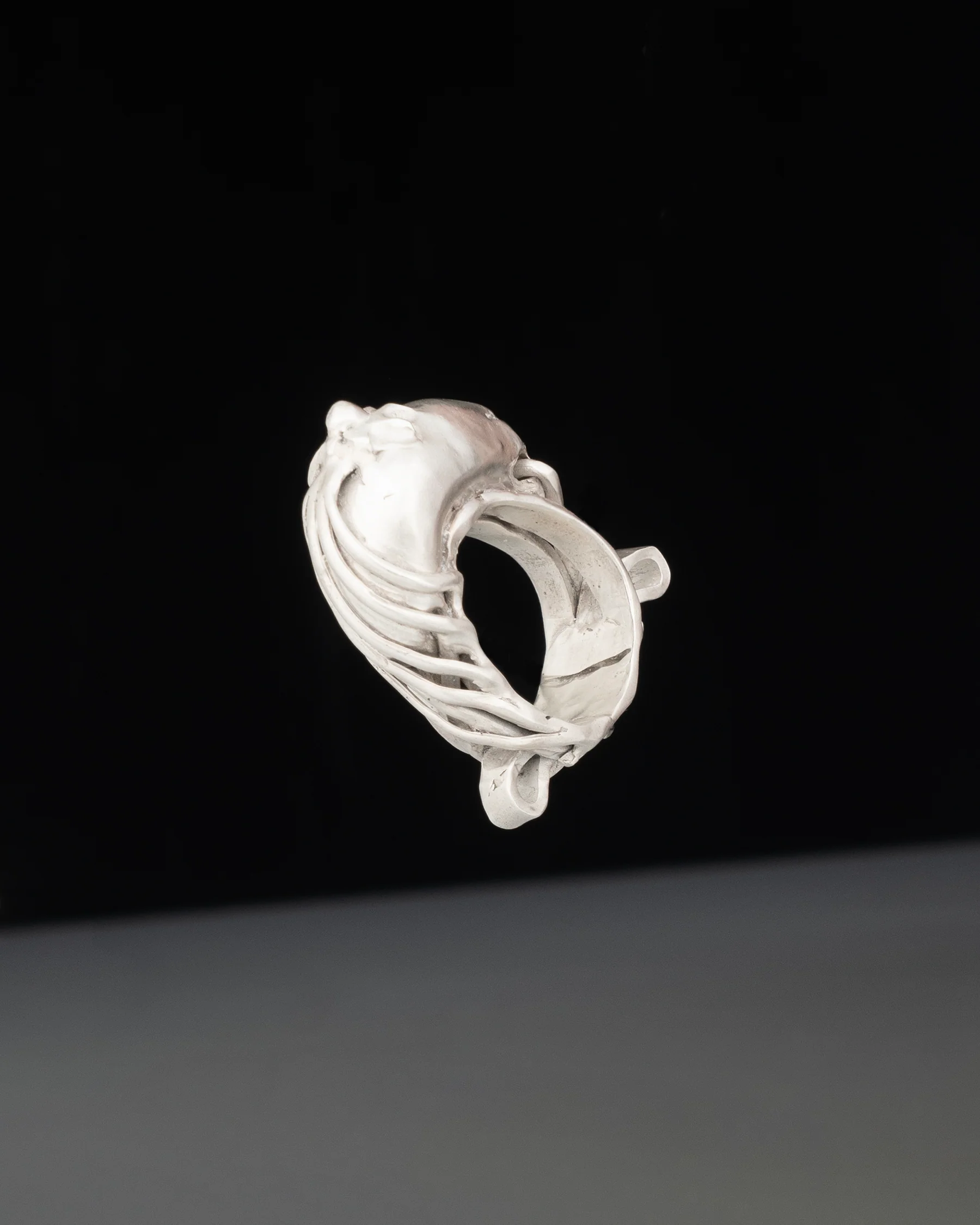 fing ZM57 - Image 2