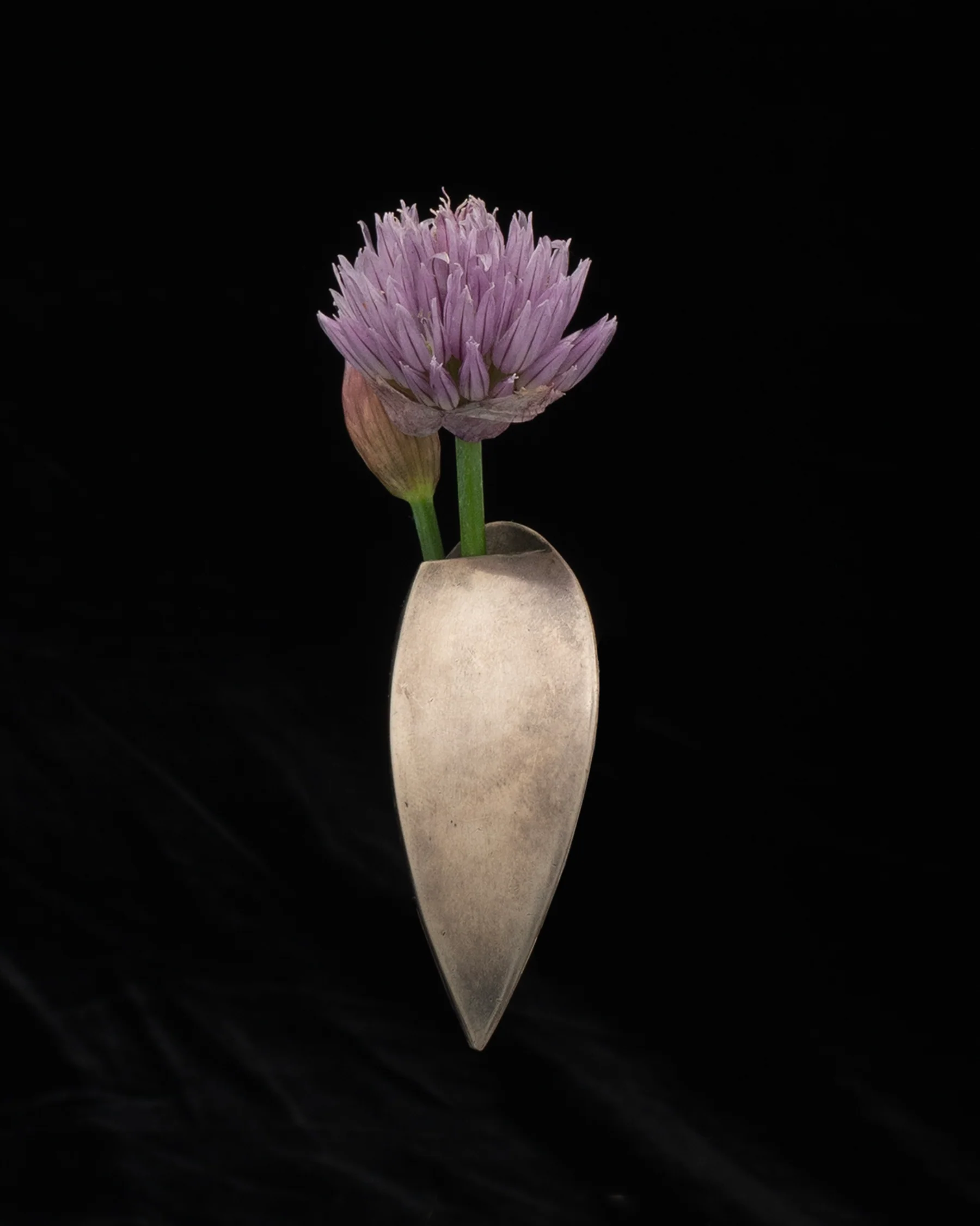 pin M2526 - Image 2