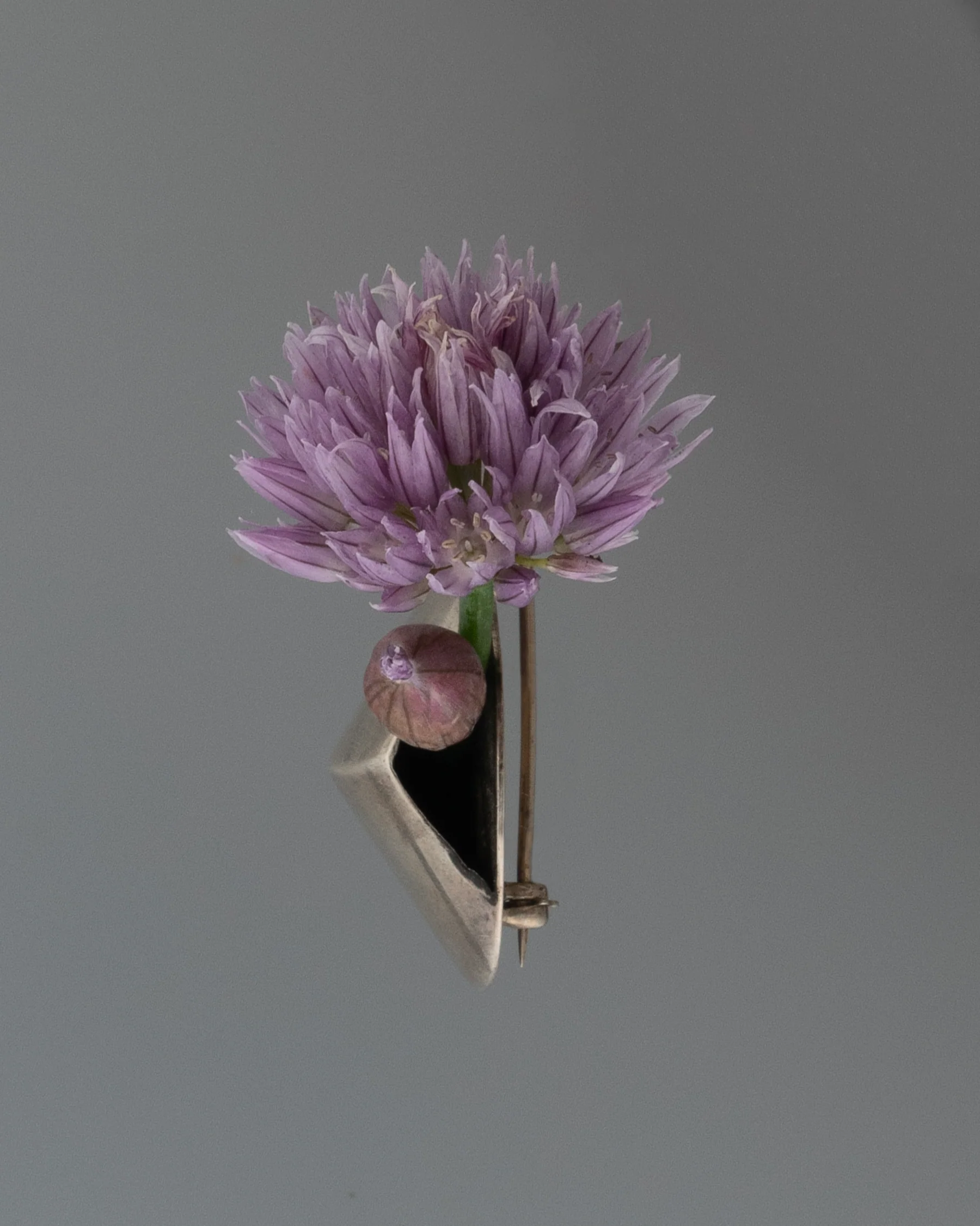 pin M2526 - Image 4